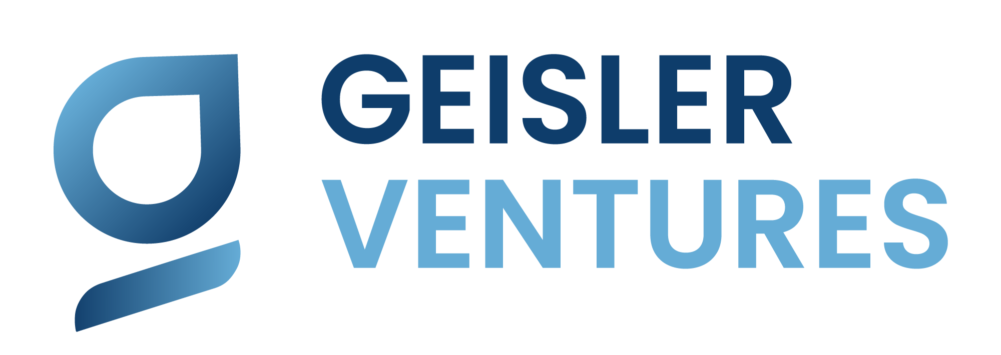 Geisler Ventures